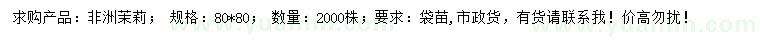 求購80*80公分非洲茉莉