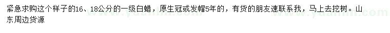 求購16、18公分白蠟