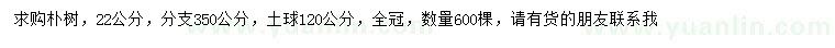 求購(gòu)22公分樸樹(shù)