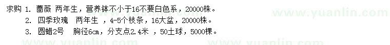 求購薔薇、四季玫瑰、圓蠟2號(hào)
