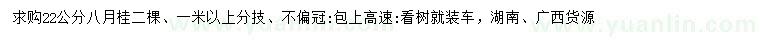 求購22公分八月桂