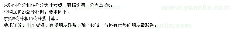 求購大葉女貞、樸樹、紫葉李