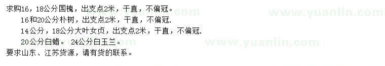 求購國槐、白蠟、樸樹等