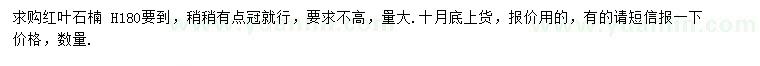 求購高180公分紅葉石楠