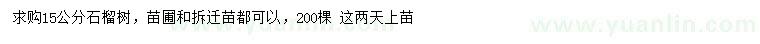 求購15公分石榴樹