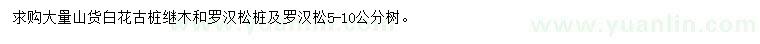 求購(gòu)白花繼木古樁、羅漢松樁、羅漢松