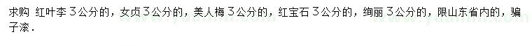 求購紅葉李、女貞、美人梅