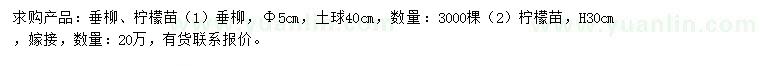 求購5公分垂柳、高30公分檸檬苗