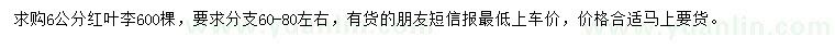 求購6公分紅葉李