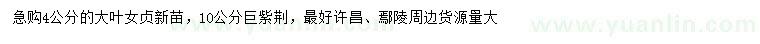 求購4公分大葉女貞、10公分巨紫荊