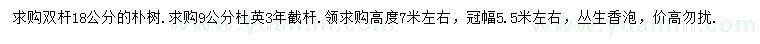 求購樸樹、杜英、叢生香泡
