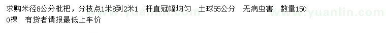 求購米徑8公分枇杷