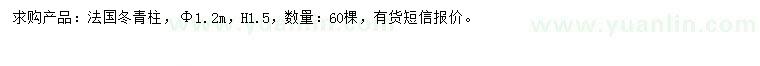 求購(gòu)1.2米法國(guó)冬青柱