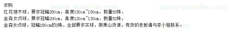 求購冠250公分紅花繼木球、冠150、200公分金森女貞球