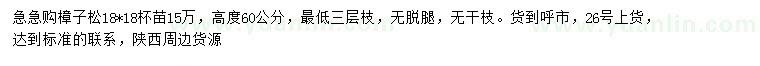 求購高60公分樟子松