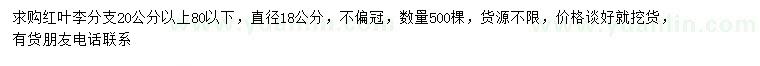 求購(gòu)18公分紅葉李