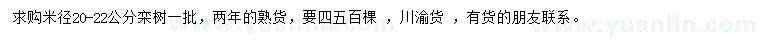 求購米徑20-22公分欒樹(shù)