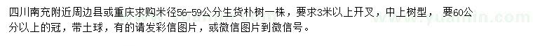 求購米徑56-59公分樸樹