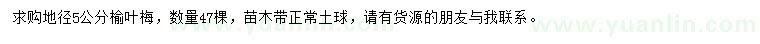 求購地徑5公分榆葉梅