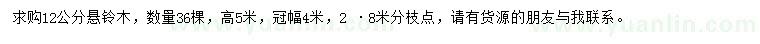 求購12公分懸鈴木