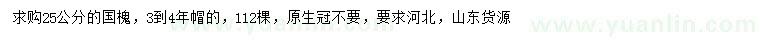 求購(gòu)25公分國(guó)槐