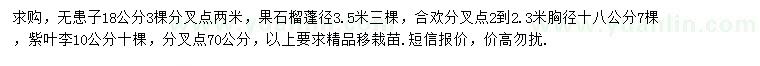 求購(gòu)無(wú)患子、果石榴、合歡等