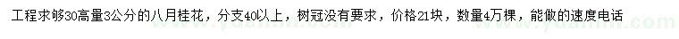 求購(gòu)30量3公分八月桂