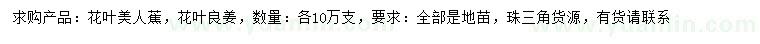 求購花葉美人蕉、花葉良姜