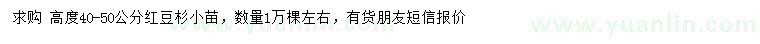 求購高40-50公分紅豆杉