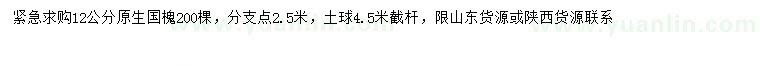 求購12公分原生國槐