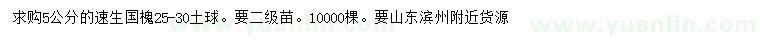 求購5公分速生國槐