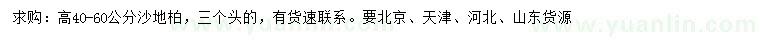 求購高40-60公分沙地柏