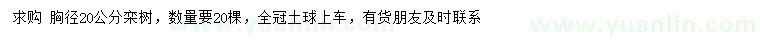 求購胸徑20公分欒樹