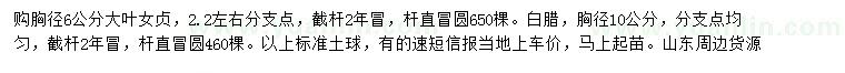 求購胸徑6公分大葉女貞