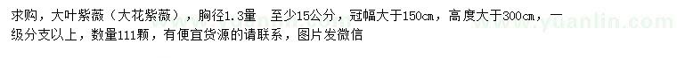求購1.3量15公分大葉紫薇