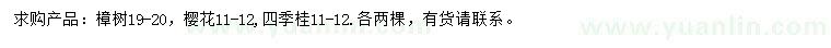求購樟樹、櫻花、四季桂