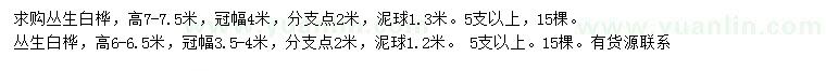 求購(gòu)高6-6.5、7-7.5米白樺