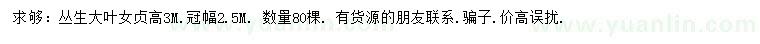 求購高3米叢生大葉女貞