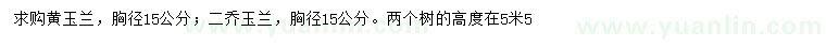 求購胸徑15公分黃玉蘭、二喬玉蘭