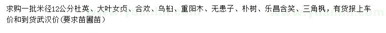 求購杜英、大葉女貞、合歡等