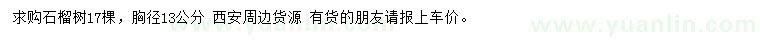 求購胸徑13公分石榴樹
