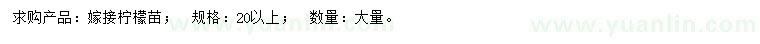 求購20公分以上嫁接檸檬苗