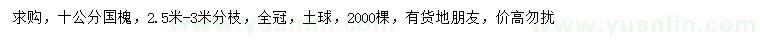 求購(gòu)10公分國(guó)槐