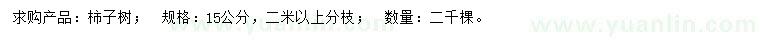 求購15公分柿子樹