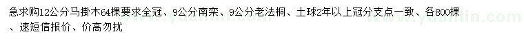 求購馬掛木、南欒、老法桐