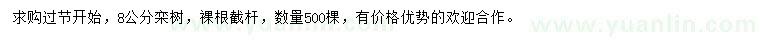 求購8公分欒樹