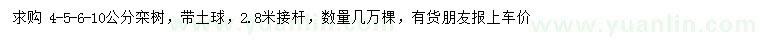 求購4-5-6-10公分欒樹
