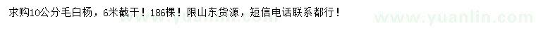 求購10公分毛白楊