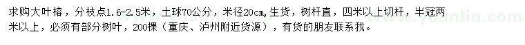 求購米徑20公分大葉榕