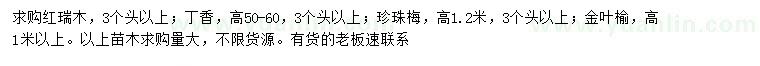 求購紅瑞木、丁香、珍珠梅等